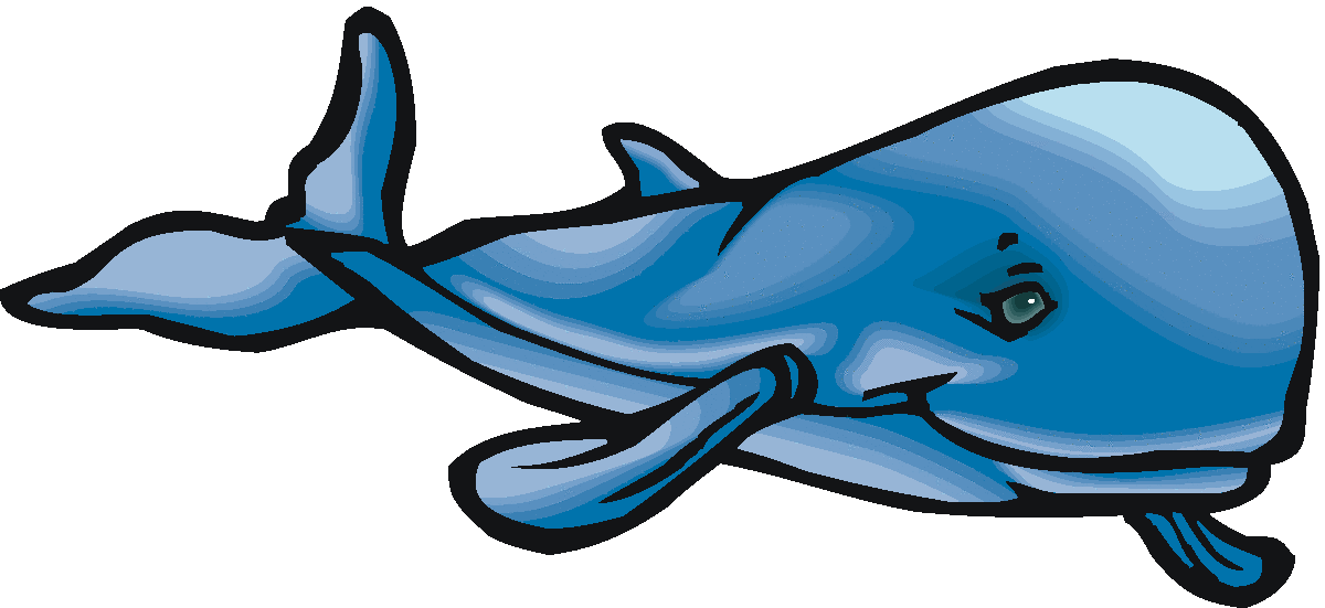 clipart whale friendly whale