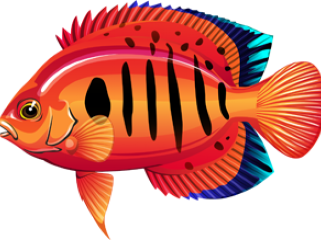 Free download clip art. Flame clipart angelfish
