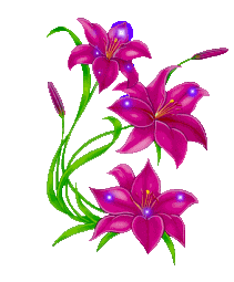 Free flowers gifs animations. Clipart flower animated