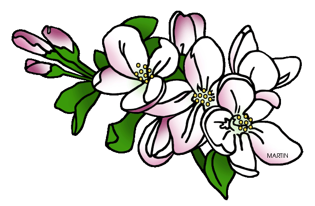 clipart tree apple blossom