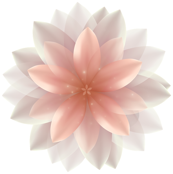 Beautiful transparent flower png. Peony clipart clear background rose