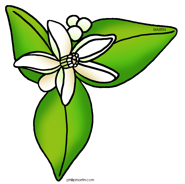 At getdrawings com free. Flowers clipart apple blossom