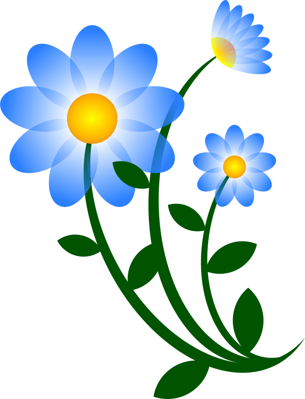  collection of and. Clipart flower blue jasmine
