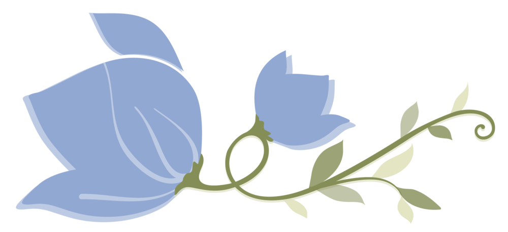 clipart flower blue jasmine