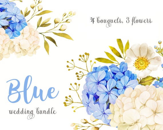 Watercolor floral hydrangea white. Clipart flower blue jasmine