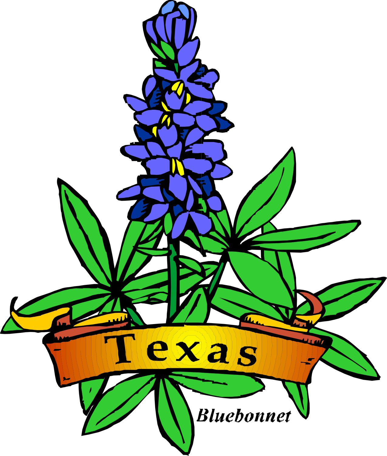 Flowers clipart bluebonnet, Picture #1129380 flowers clipart bluebonnet