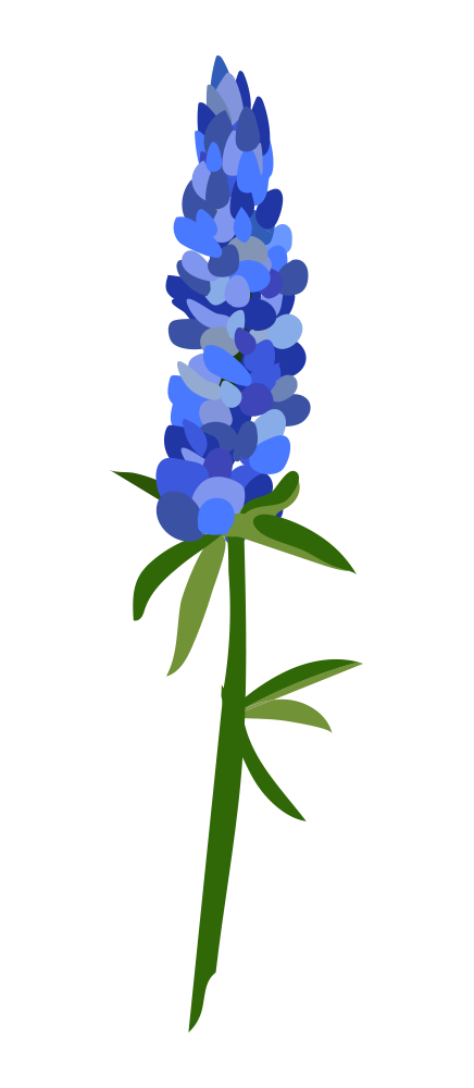 Clipart flower bluebonnet. The library voice students