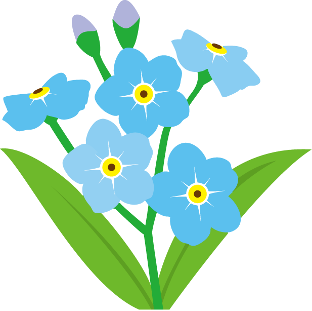 Forgetmenot flowers forget me. Clipart flower bluebonnet