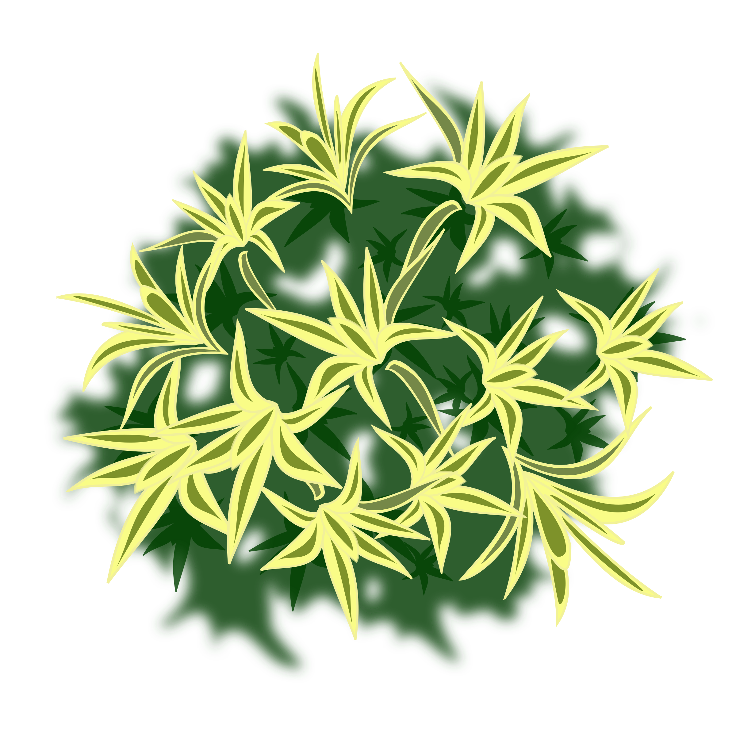 clipart flower bush