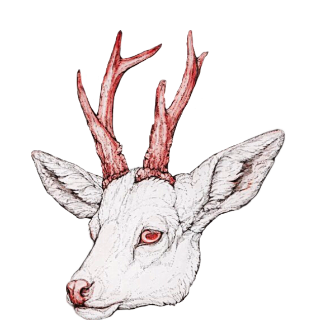 Eyes drawing at getdrawings. Clipart flower deer