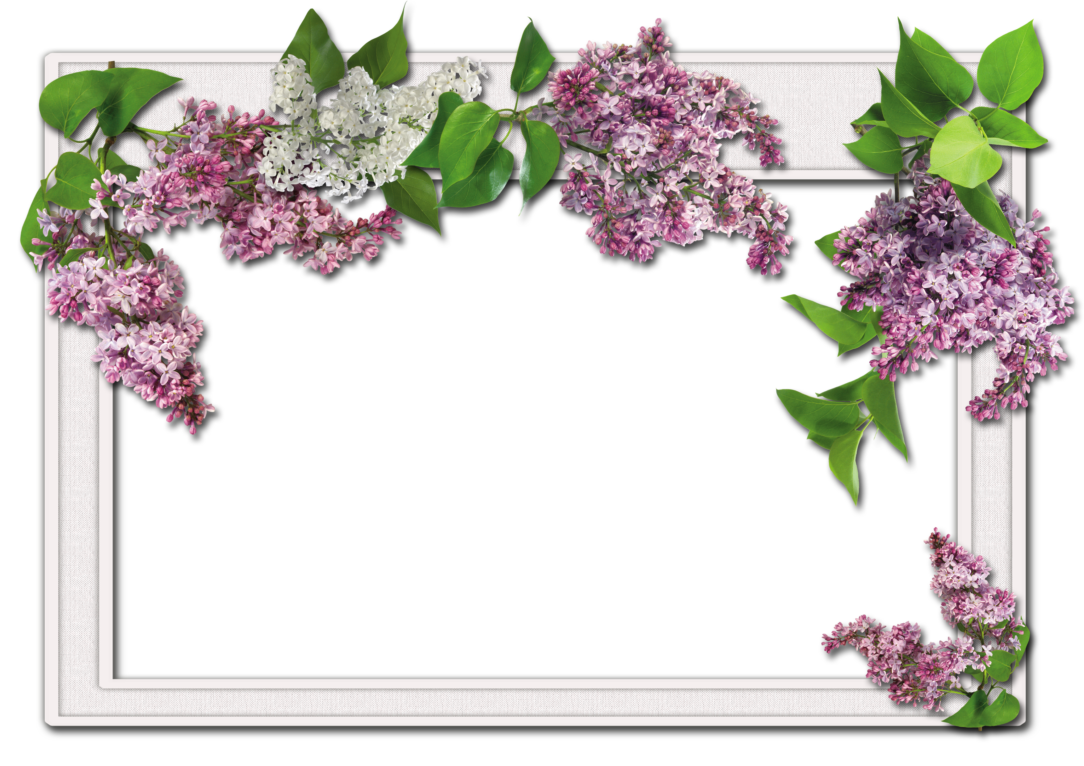 clipart flowers frame