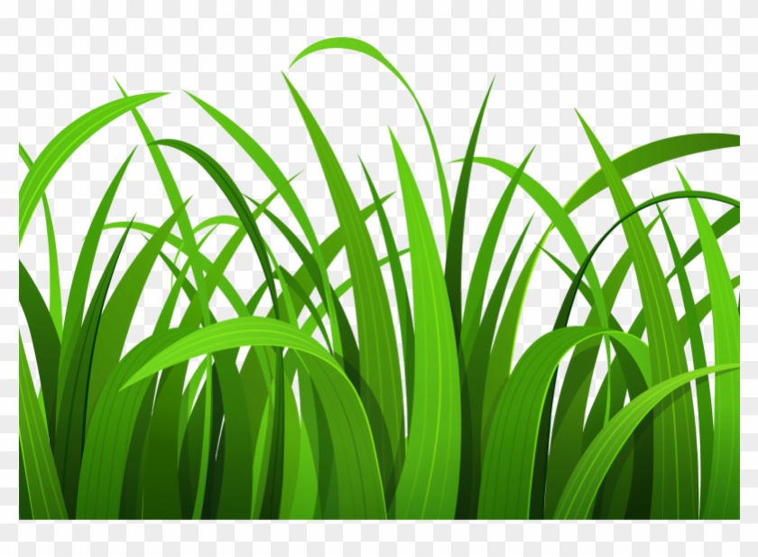 Clipart grass piece. Ground flower hd png
