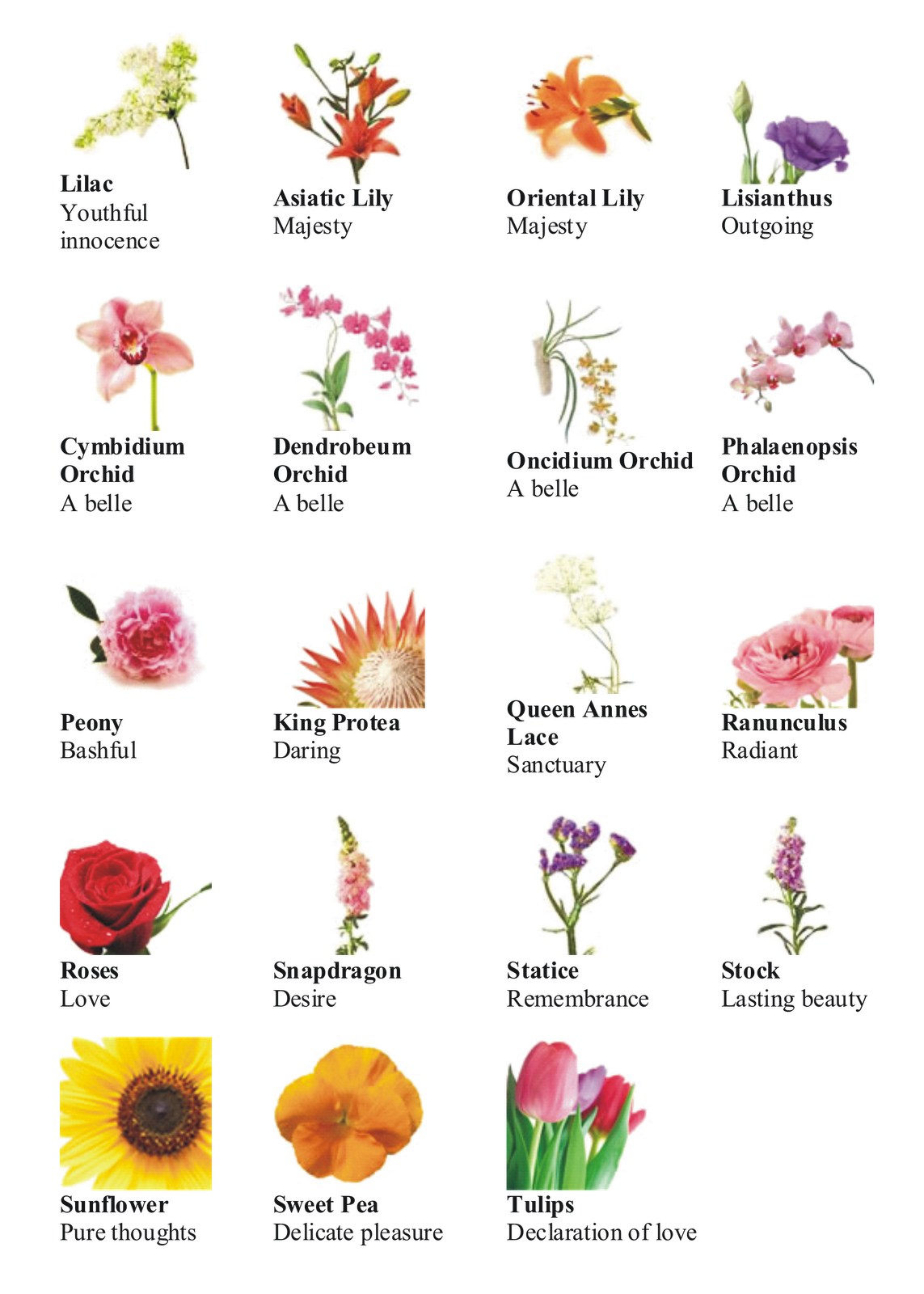 kind clipart different flower