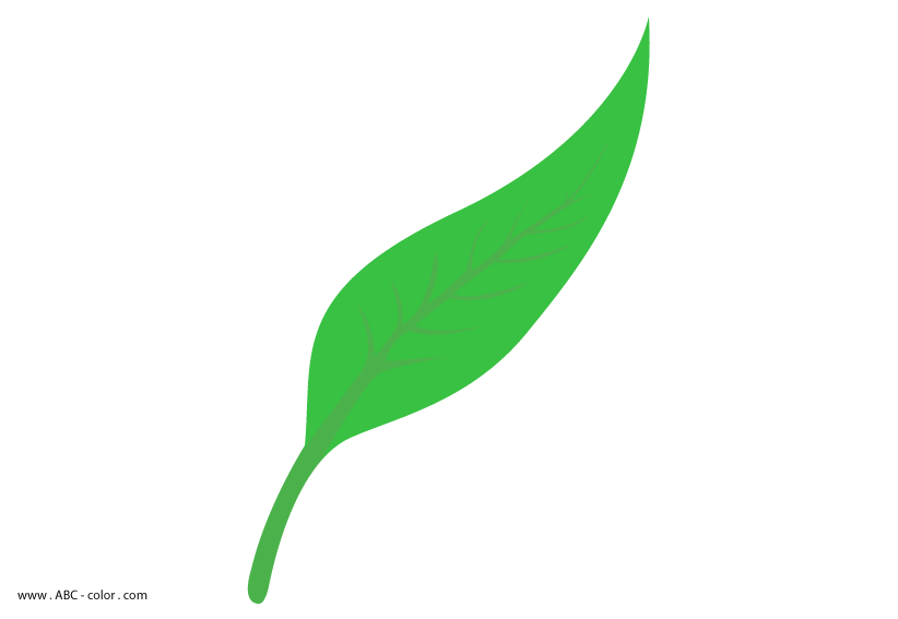 clipart leaves leaf shape