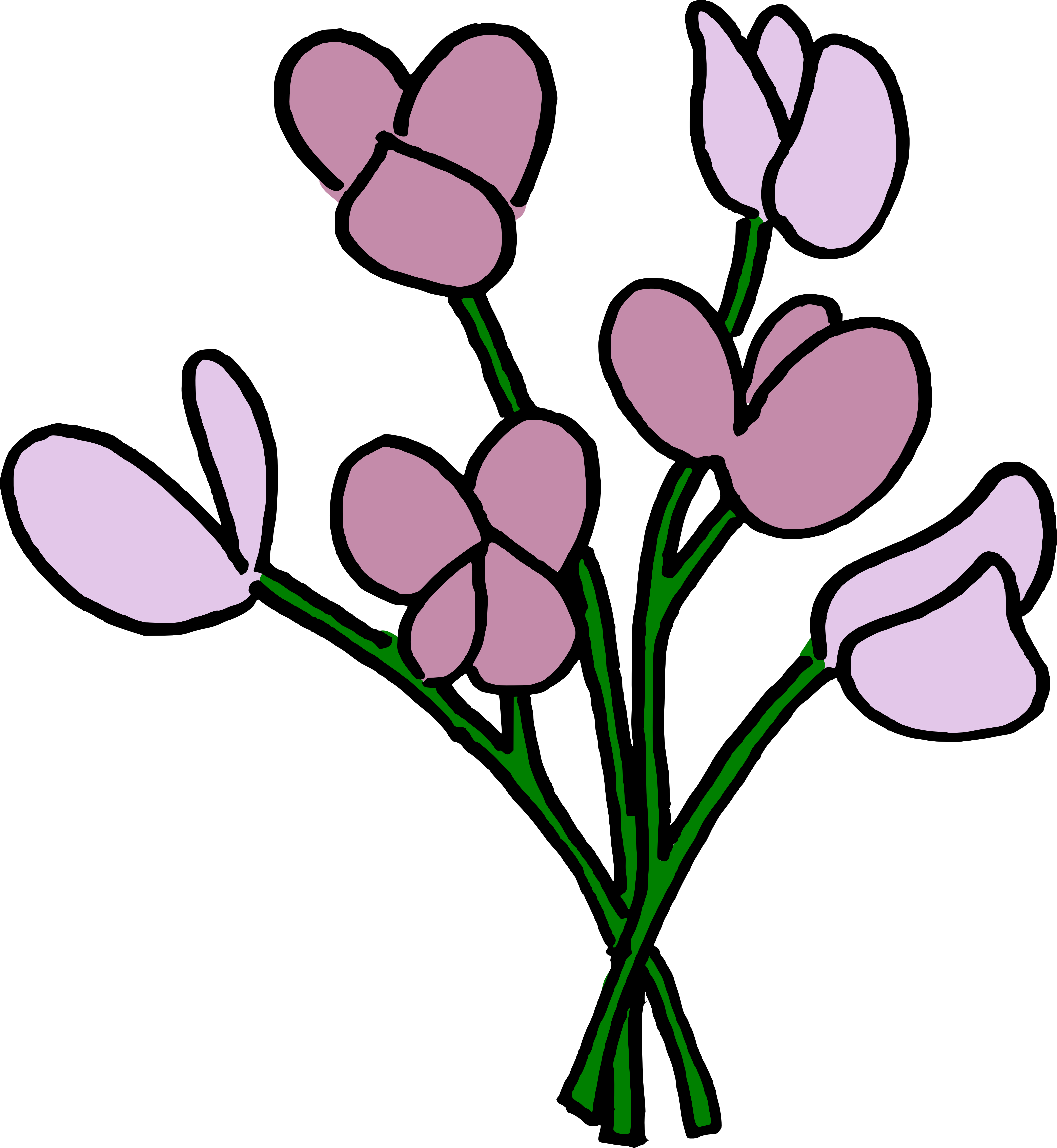 Flowers name