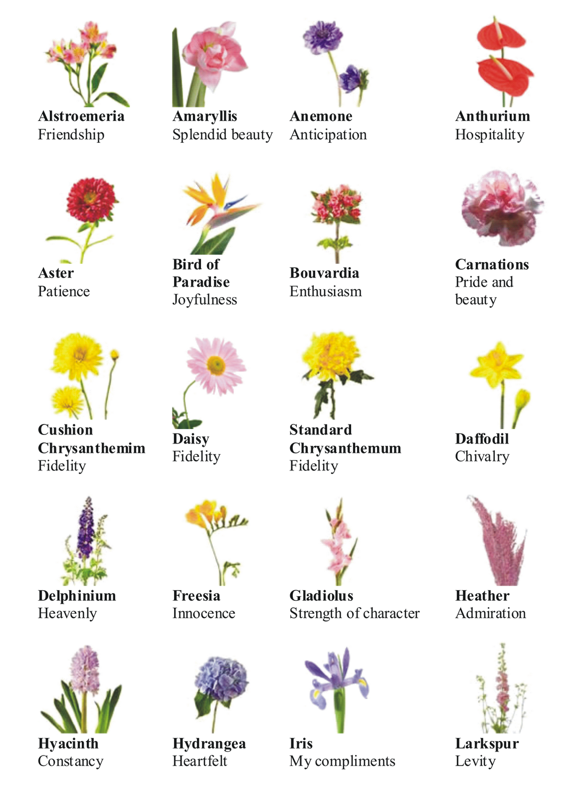 Name clipart flower.  pictures and names