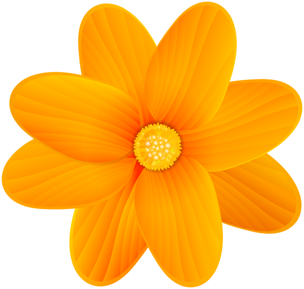 Flowers clipart orange. Flower png clip art
