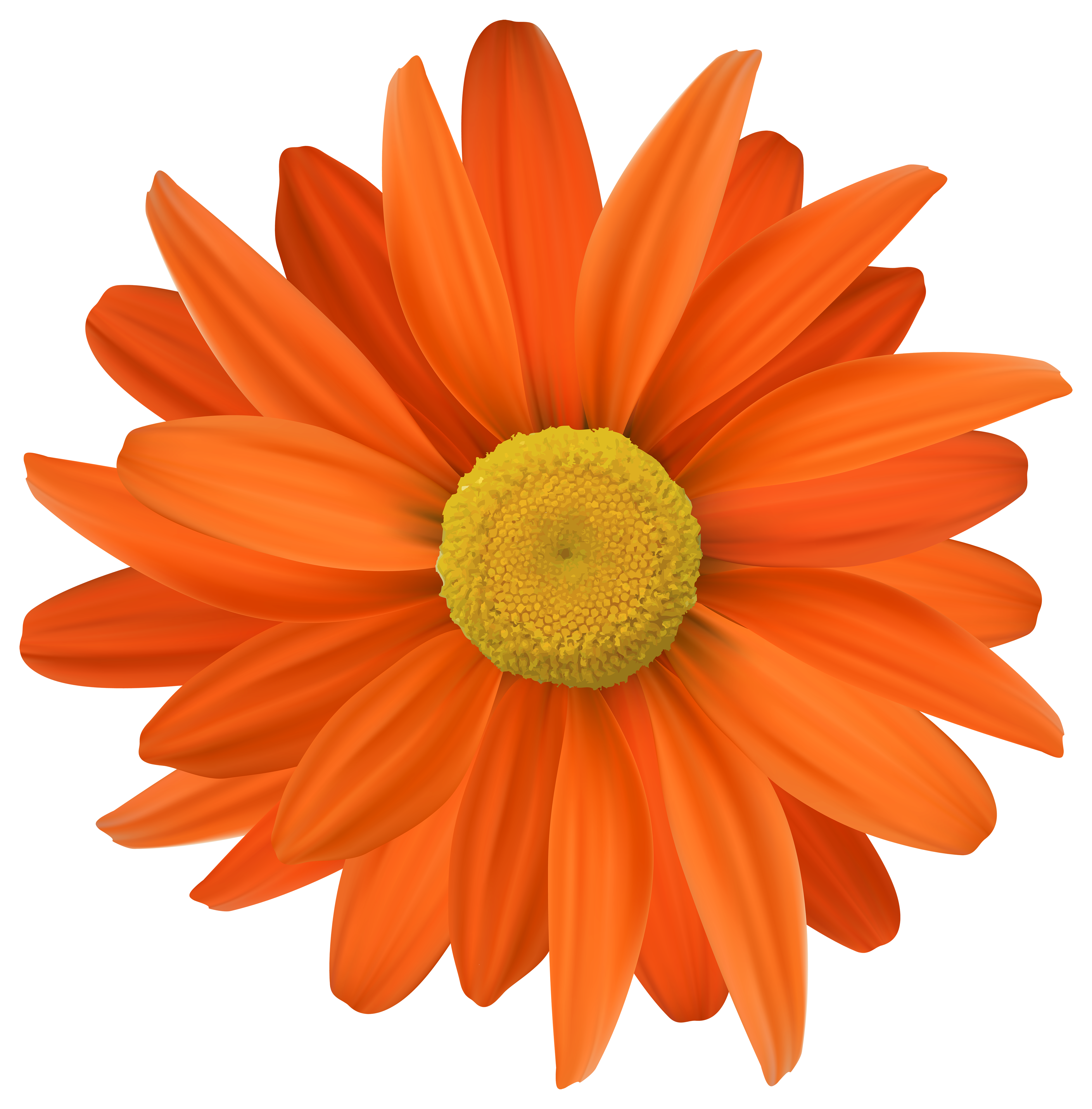 flower clipart orange