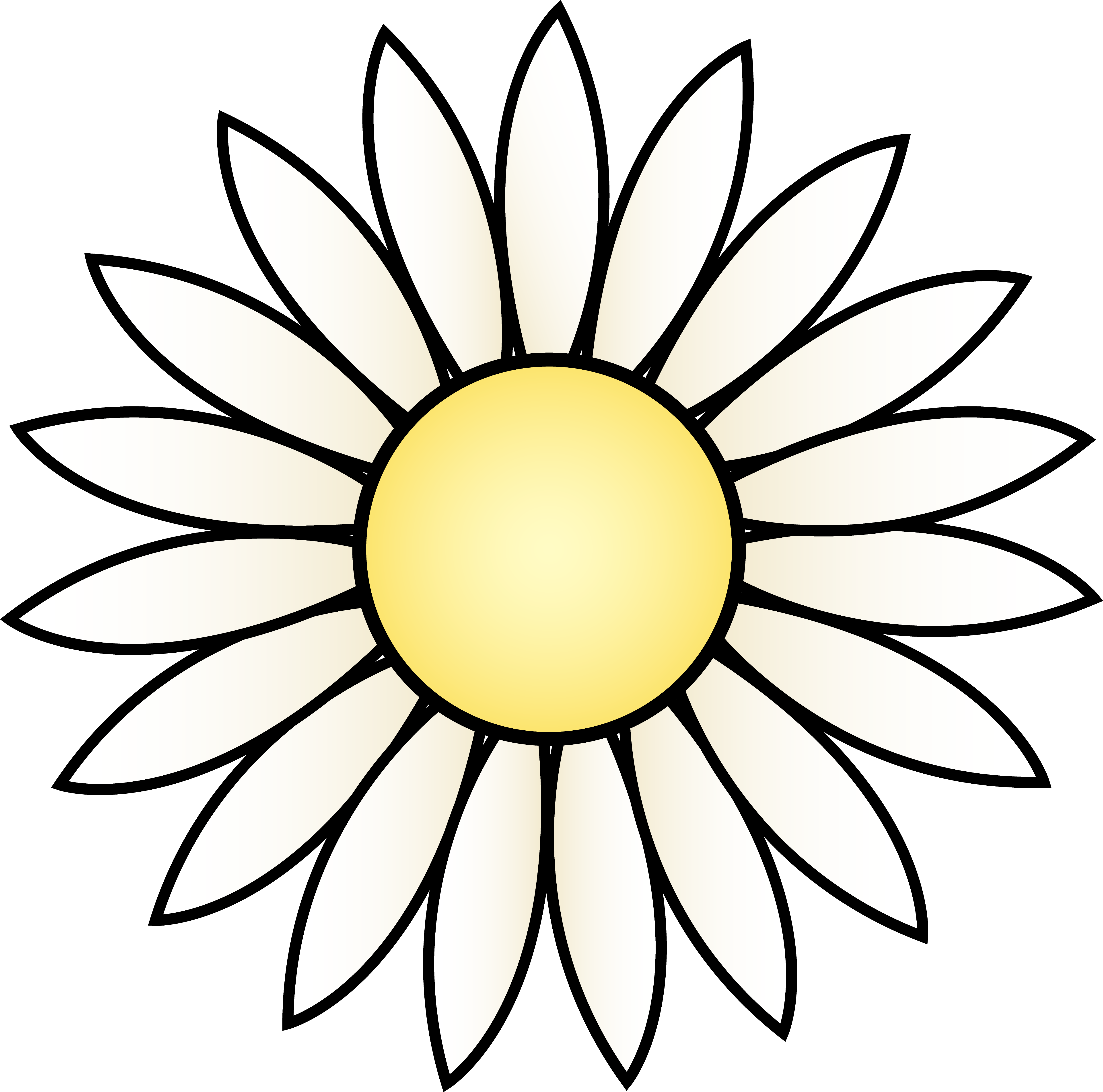 Flower drawing template at. Daisy clipart nature transparent