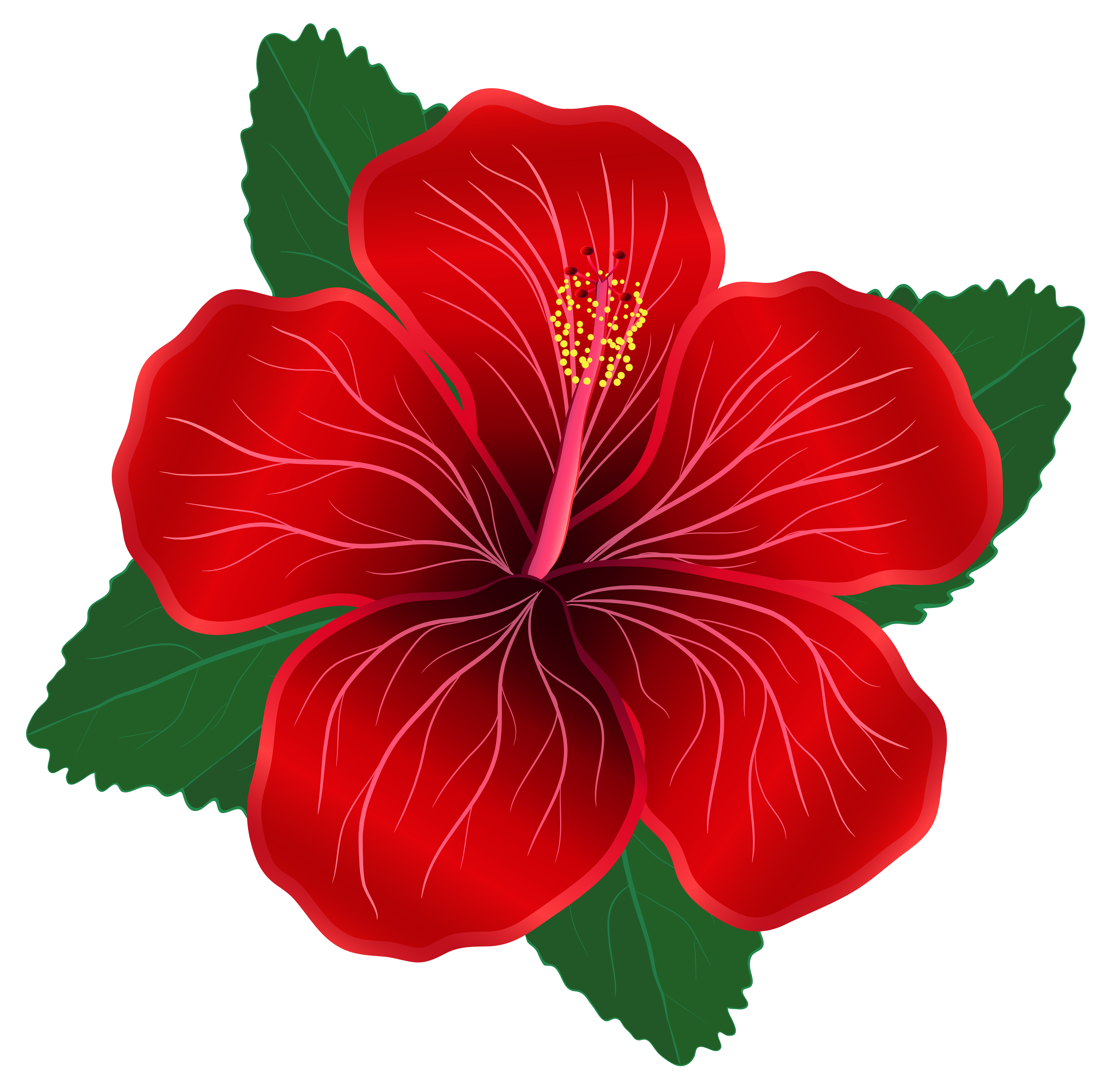clipart flower red