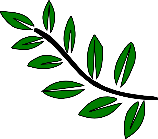 Clipart leaves large leave. Stem structure by kelsey