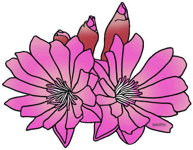 clipart flowers root