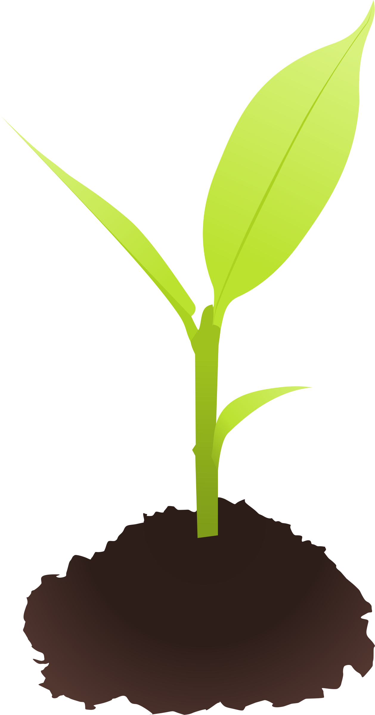 Bud seed pencil and. Dirt clipart small plant