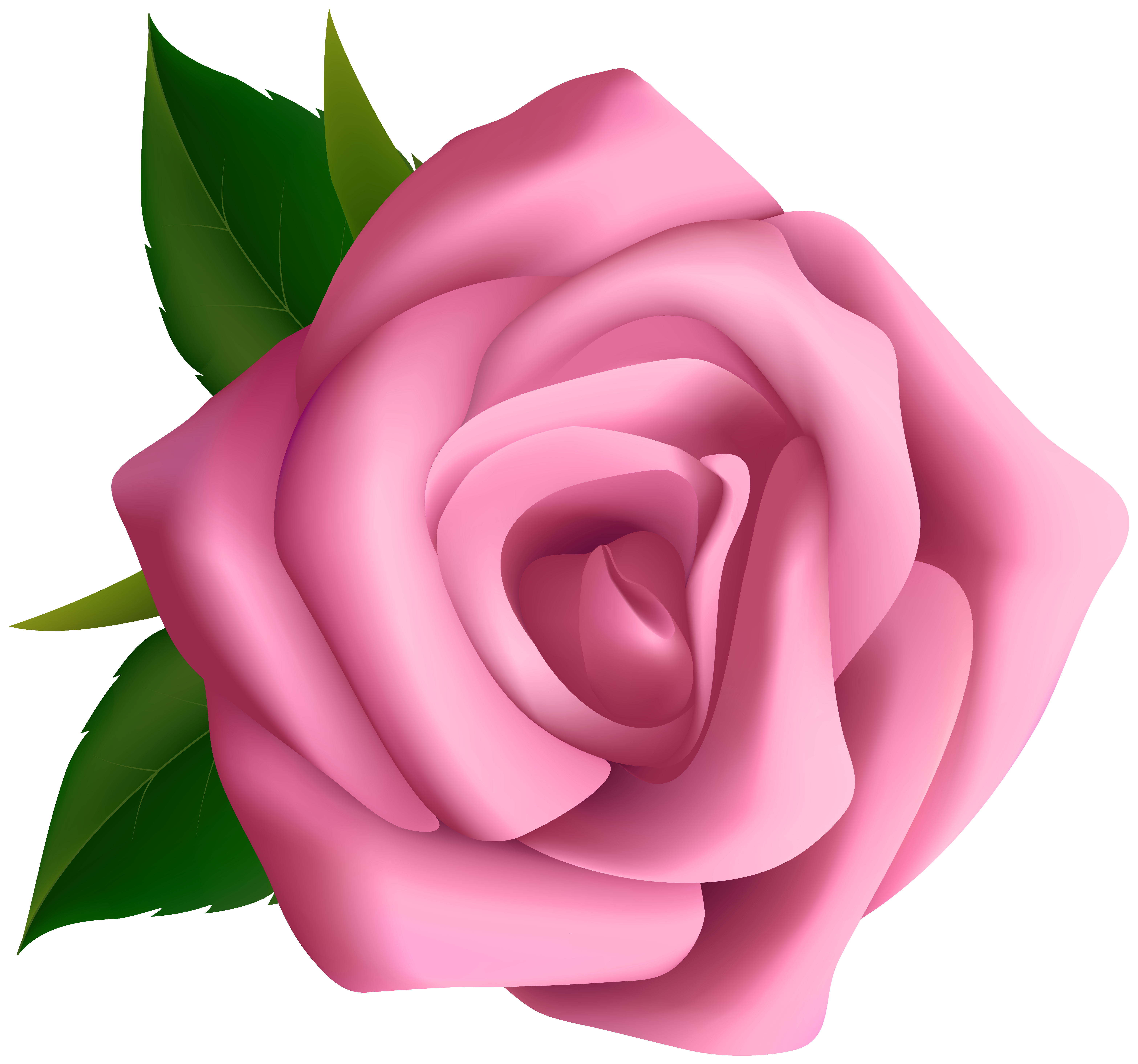 Soft pink rose png. Clipart roses tea