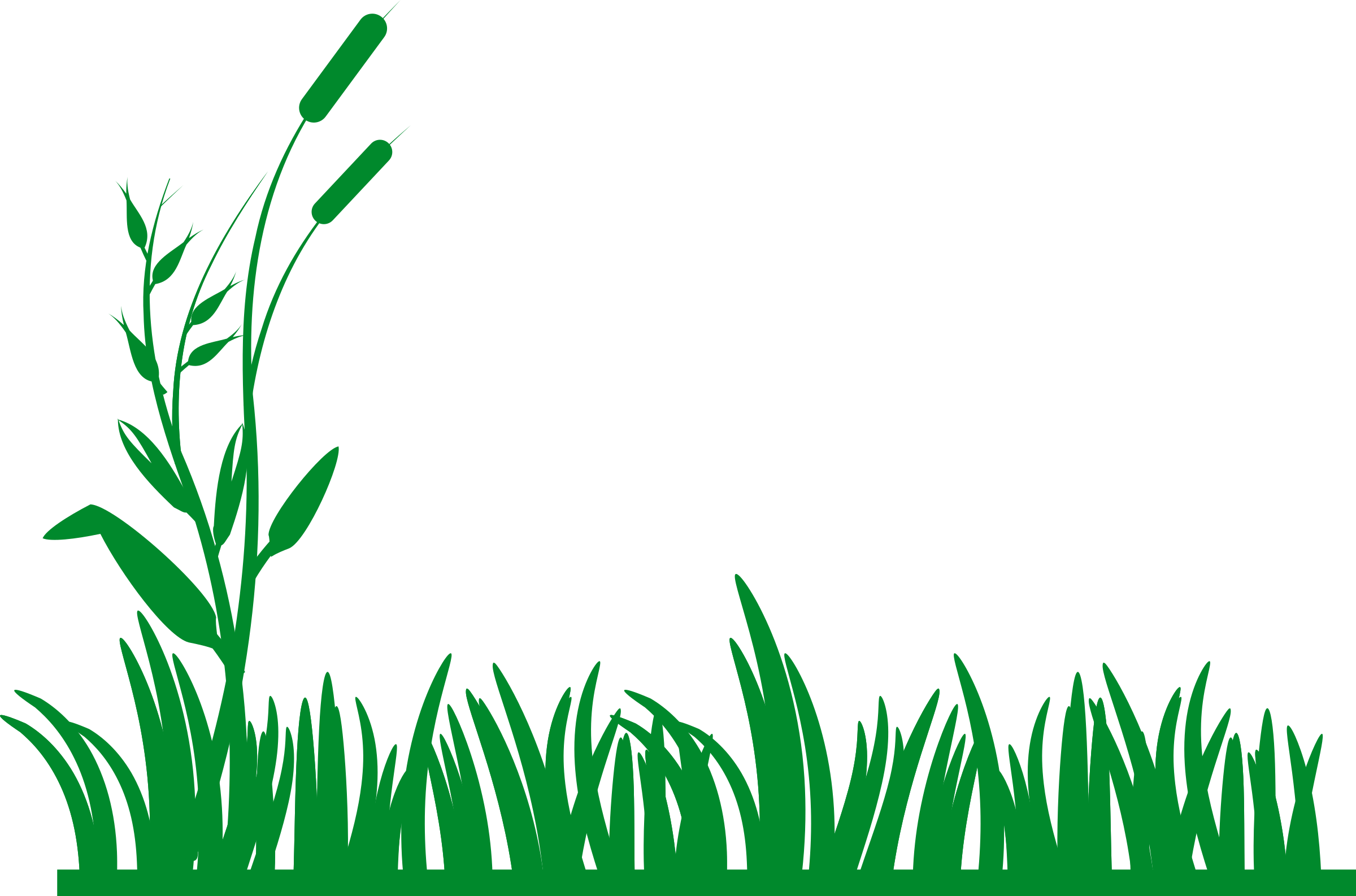 outline clipart grass