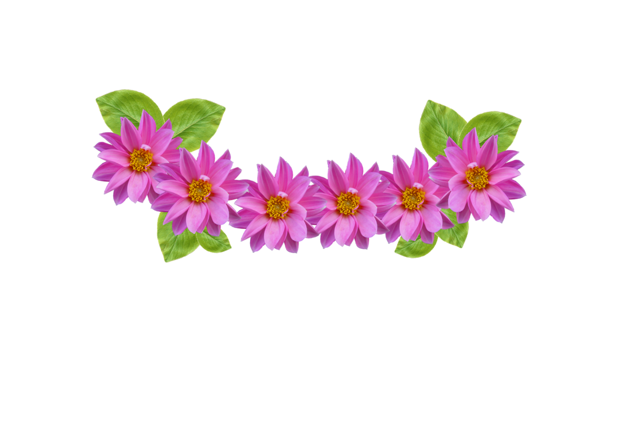 Transparent row of flowers. Clipart roses headband