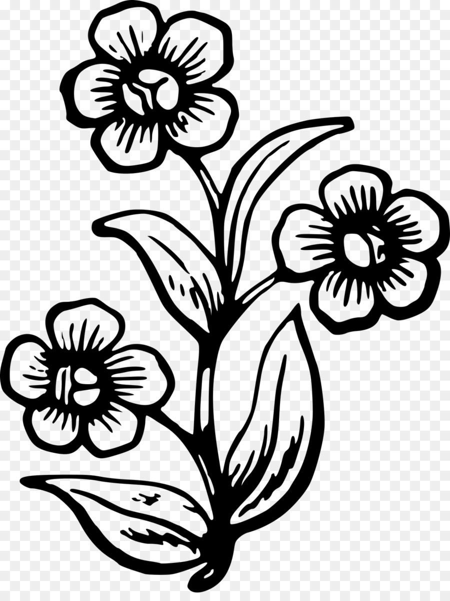 clipart flowers sketch
