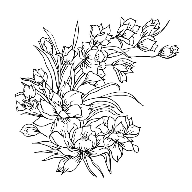 flowers clipart sketch