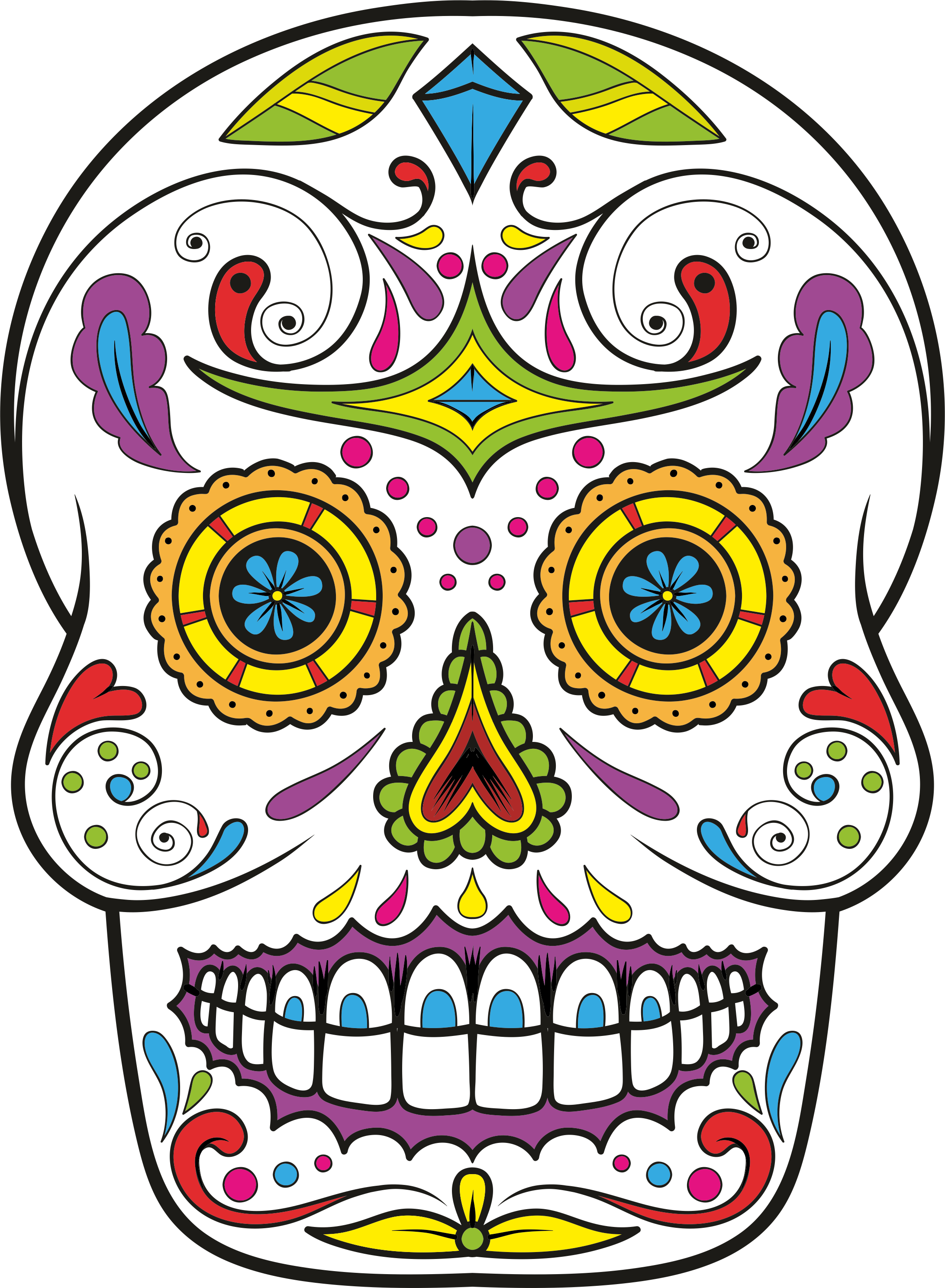 Clipart skull colored.  collection of sugar