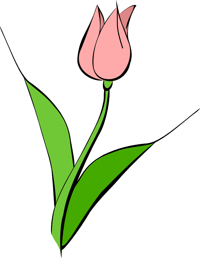 Panda free images clip. Clipart flower tulip