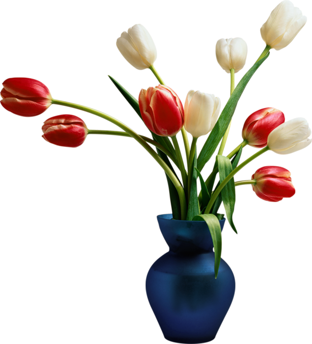 Blue with tulips gallery. Flower vase png
