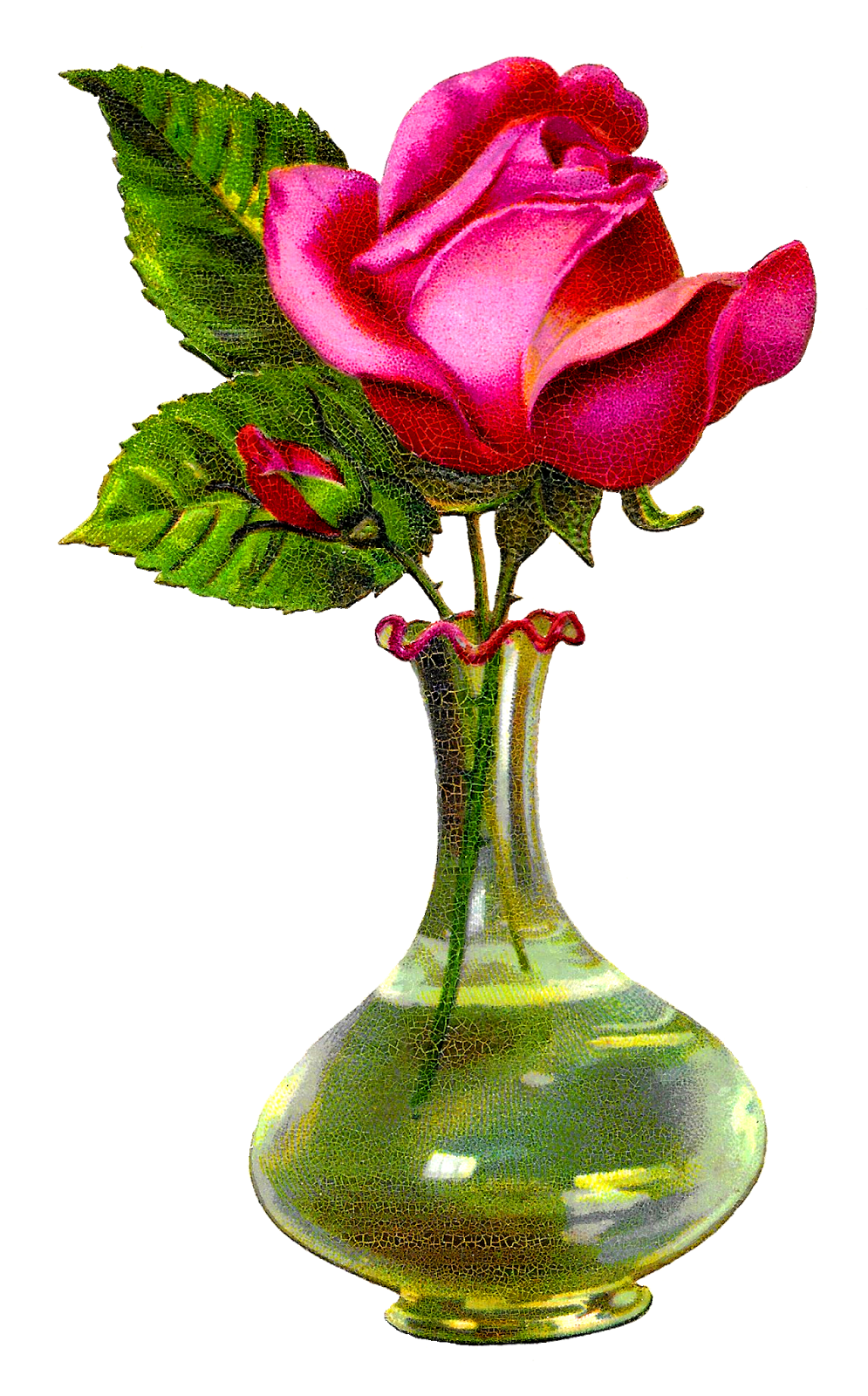 Clipart roses vase. Antique images pink rose