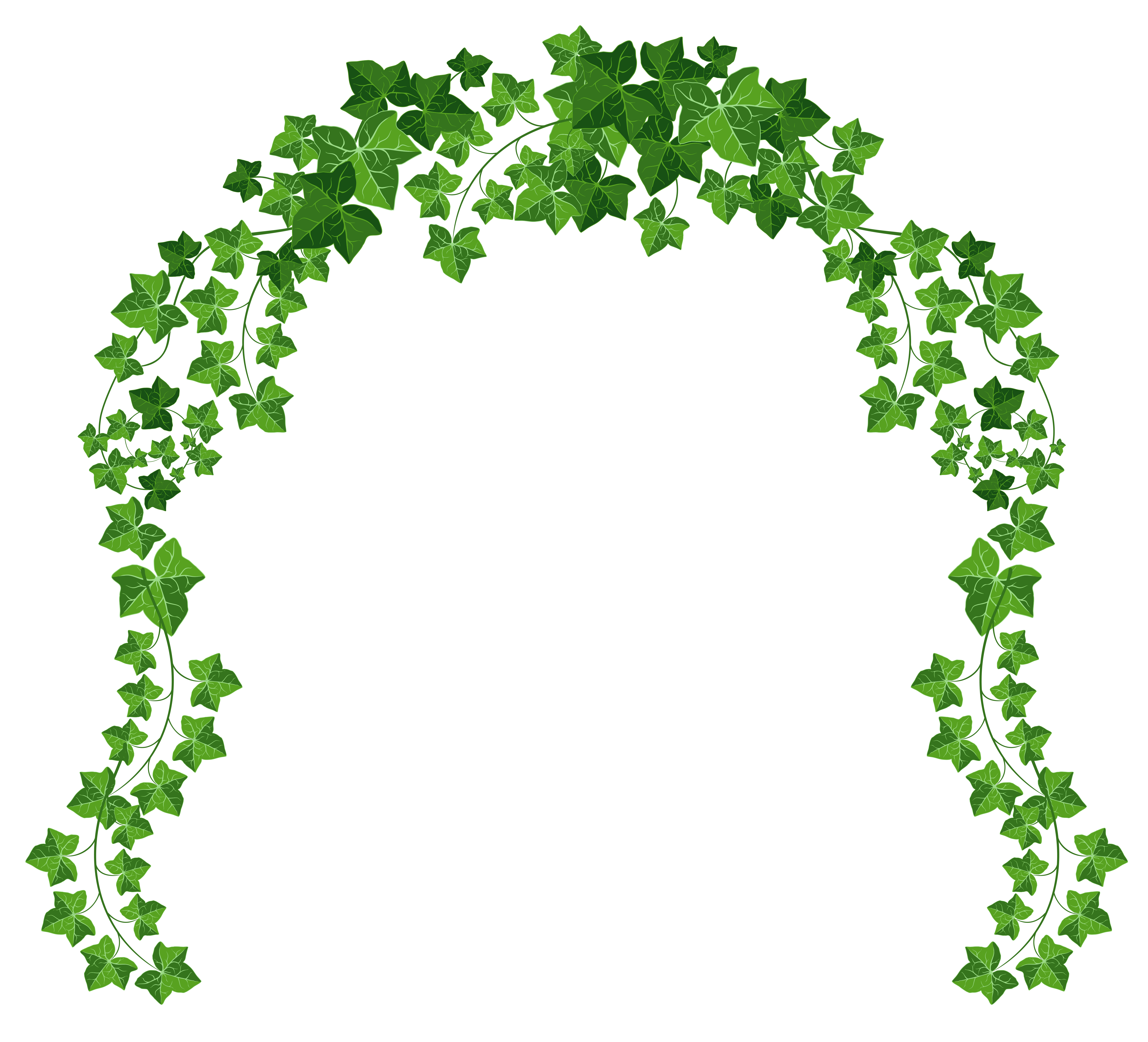 Flower vine png. Arch clipart picture gallery