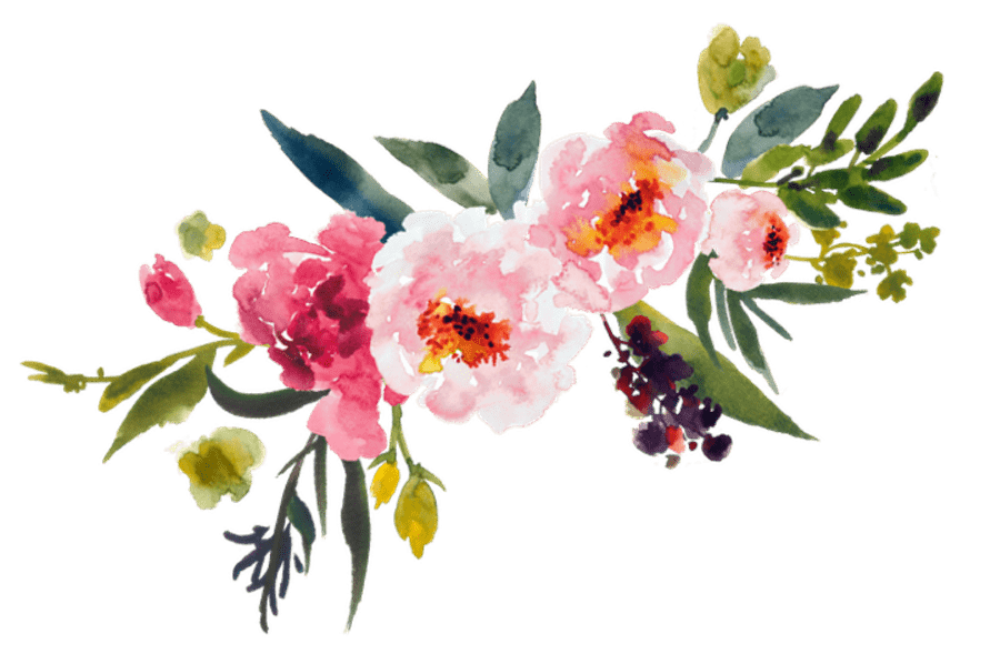 clipart flower watercolor
