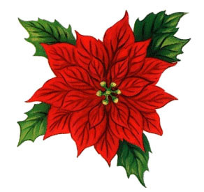 Poinsettia clipart holly. Free christmas clip art