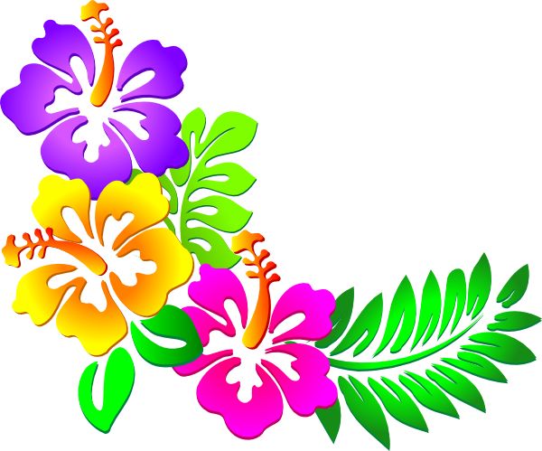 Luau clipart girly flower. Hawaiian clip art borders