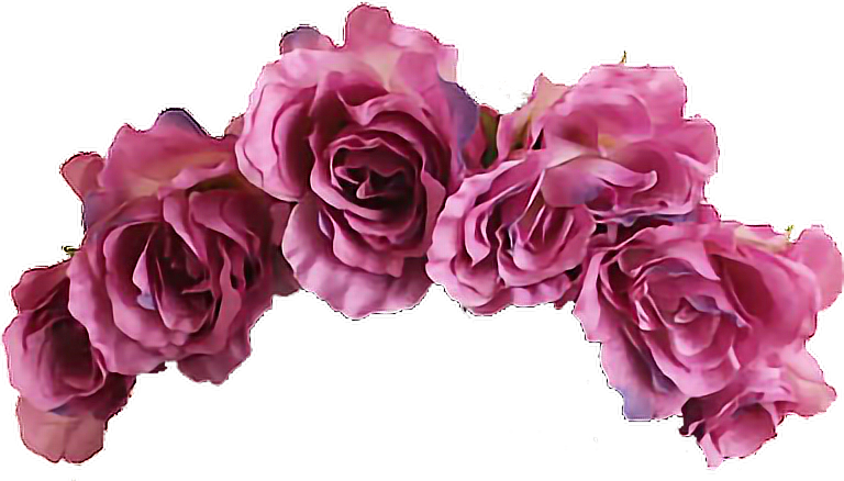 purple flower crown png