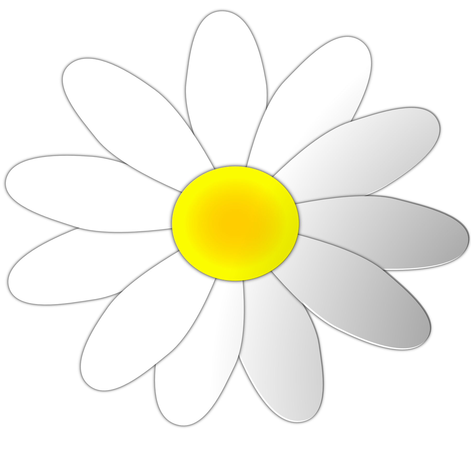 daisy clipart small daisy