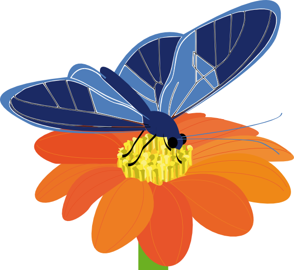 flowers clipart butterfly