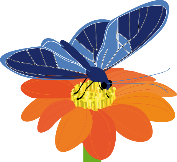 Flowers clipart butterfly. Blue with flower clip