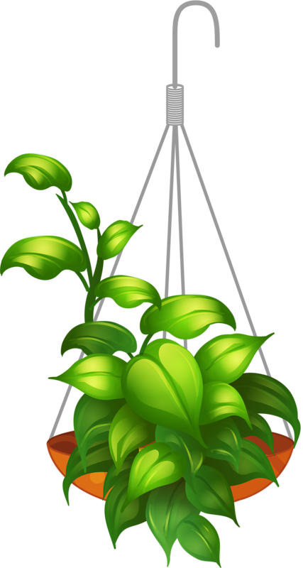 seedling clipart science plant