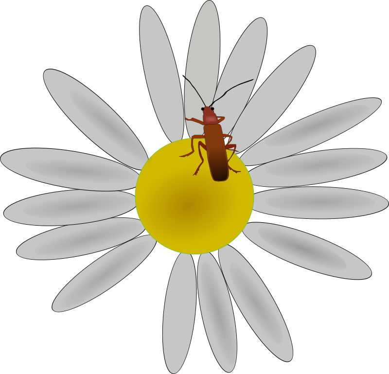 flower clipart insect