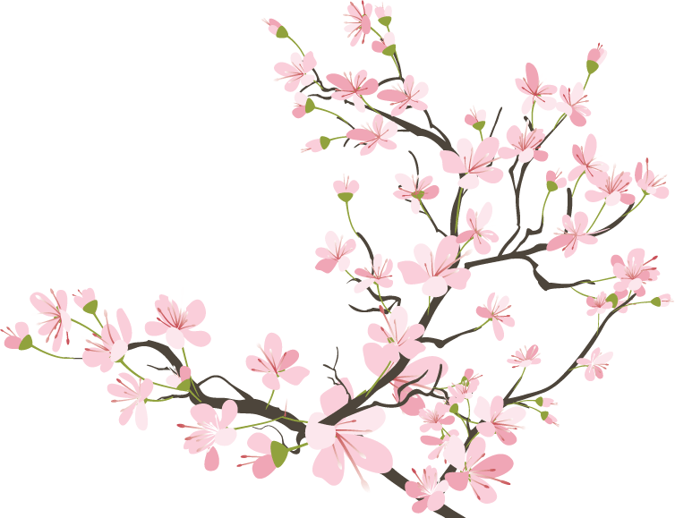 Clipart flowers kawaii. Cherryblossom sakura tumblr ftestickers