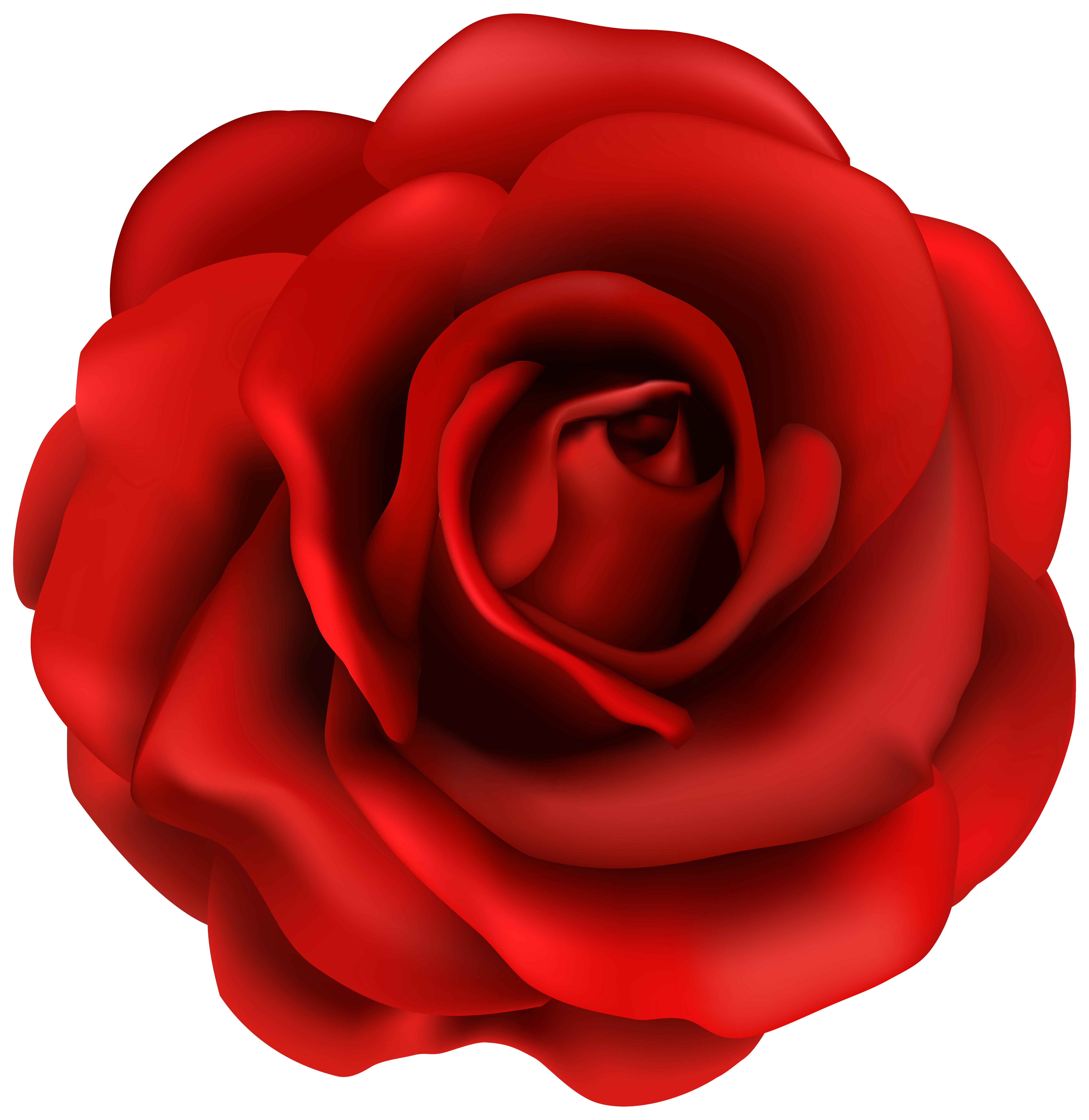 Red clipart image gallery. Rose flower png