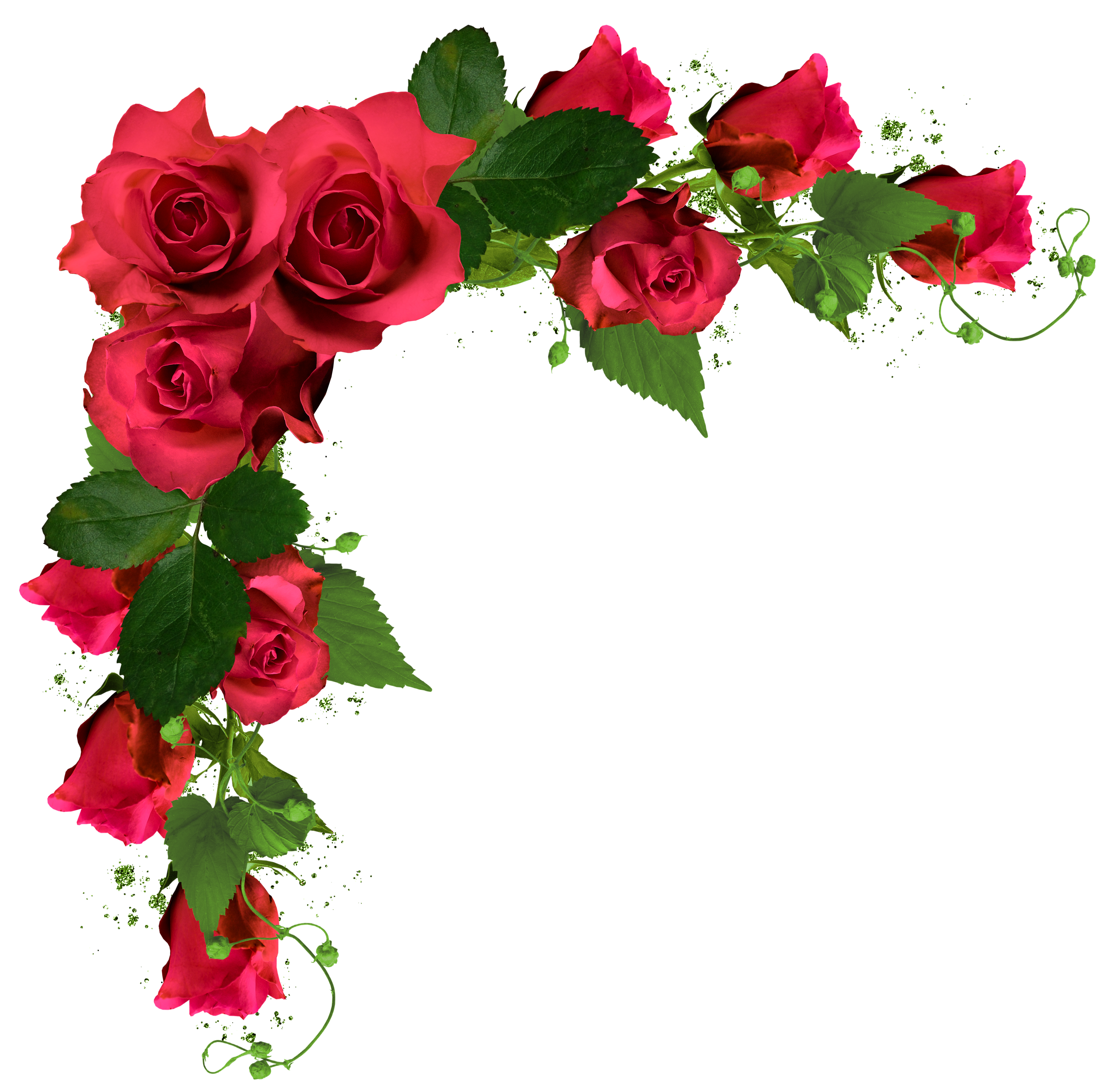 clipart roses swirl