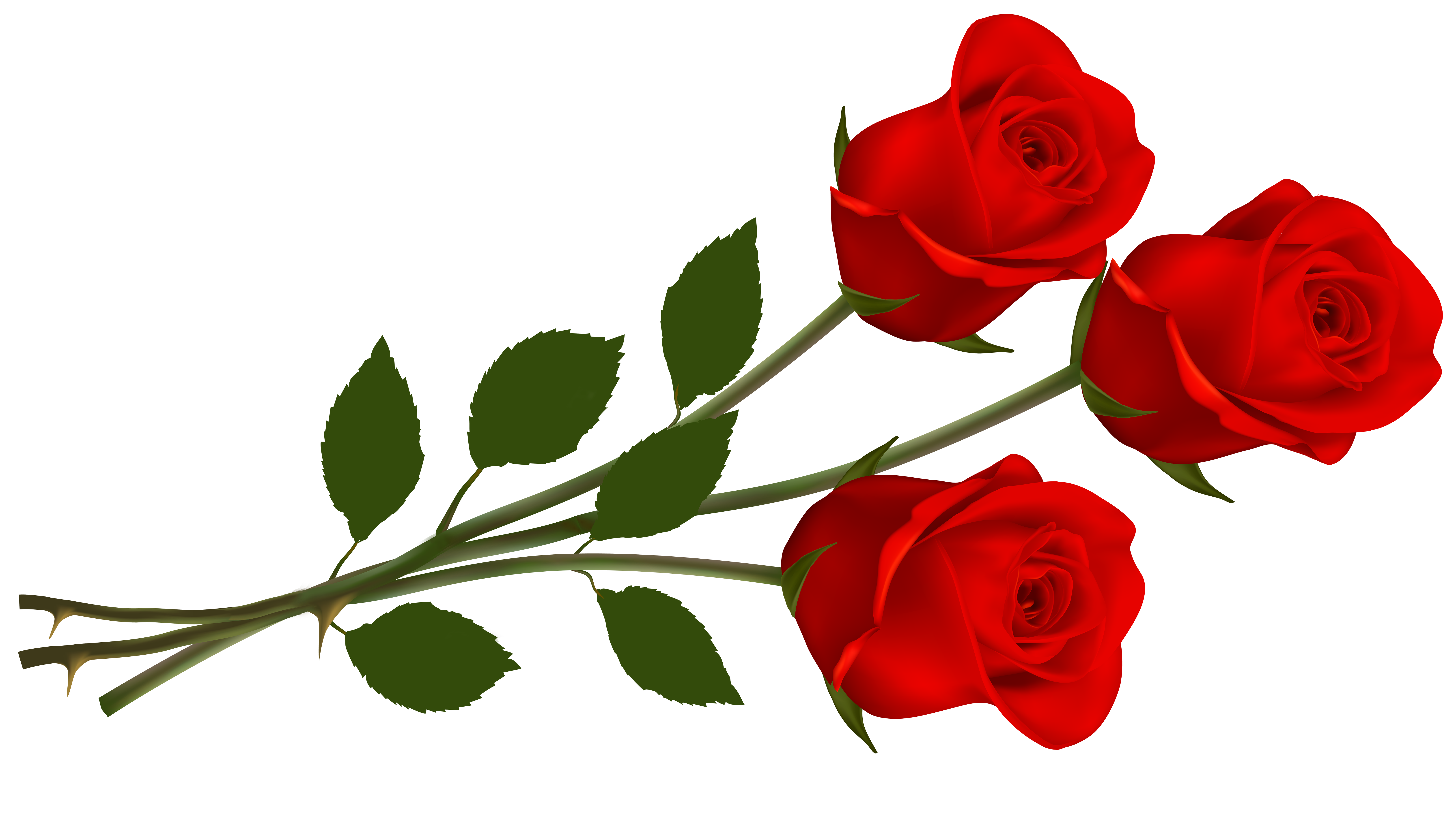 Clip art red roses. Clipart rose shape